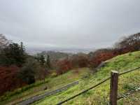 🏯 Scenic but Sparse – A Rainy Day Visit to Nihonmatsu Castle Ruins