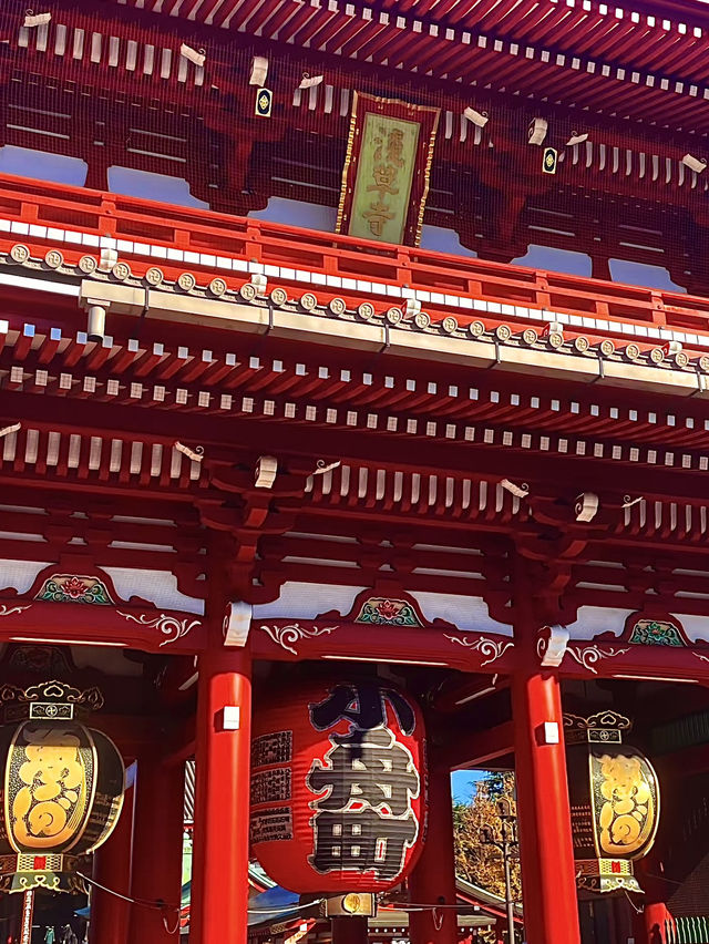 โอซาก้า🇯🇵