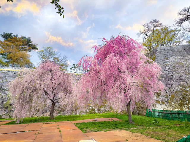 เมืองโมริโอกะ (Morioka / 盛岡市) จังหวัดอิวาเตะ