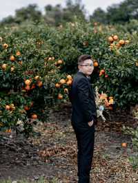 🍊 Jeju Orange Field – A Dreamy Summer Wedding Destination Straight Out of a K-Drama 🍊