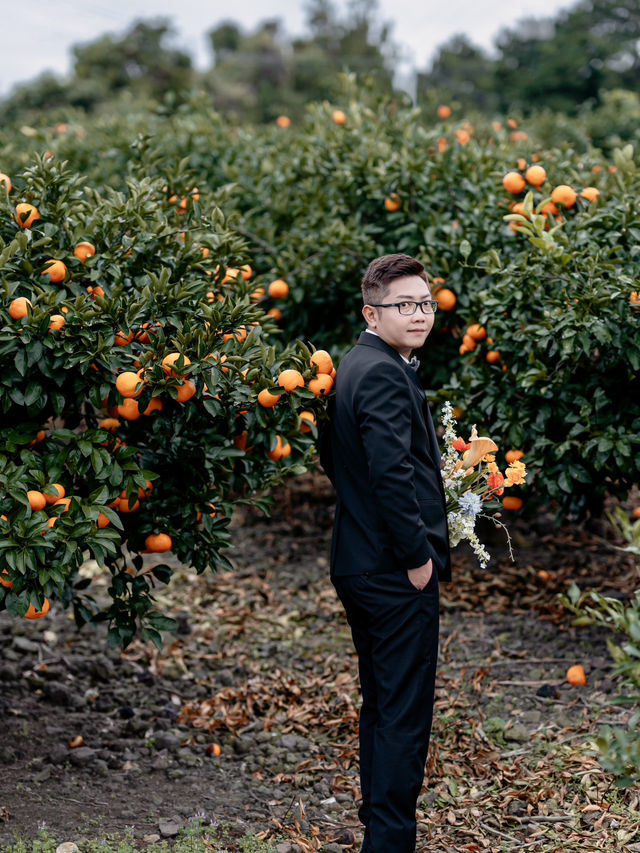 🍊 Jeju Orange Field – A Dreamy Summer Wedding Destination Straight Out of a K-Drama 🍊