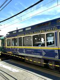 🌸⛩️ 3D2N Mt. Fuji, Hakone & Kamakura Scenic Escape! 🗻🚞✨