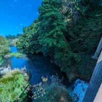 「Tumwater Falls」—静寂の中に響く滝の癒し