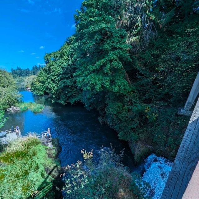 「Tumwater Falls」—静寂の中に響く滝の癒し