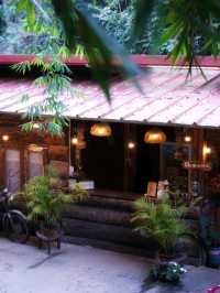 🍃 นอนริมลำธารกันมั้ย? ที่ Bee Forest แม่ออน 🌿