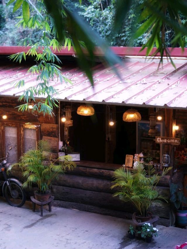 🍃 นอนริมลำธารกันมั้ย? ที่ Bee Forest แม่ออน 🌿