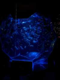 ไปดูศิลปะที่คู่กับปลาที่ ART AQUARIUM MUSEUM !