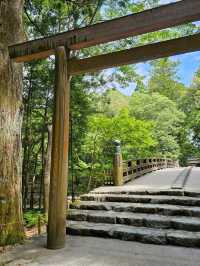 伊勢神宮洗滌心靈之旅，與自然與信仰同行⛩️🌿