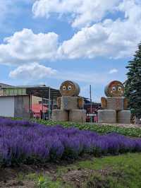 9 Days in Sapporo; Otaru; Lake Toya; Furano; Biei and Back to Sapporo
