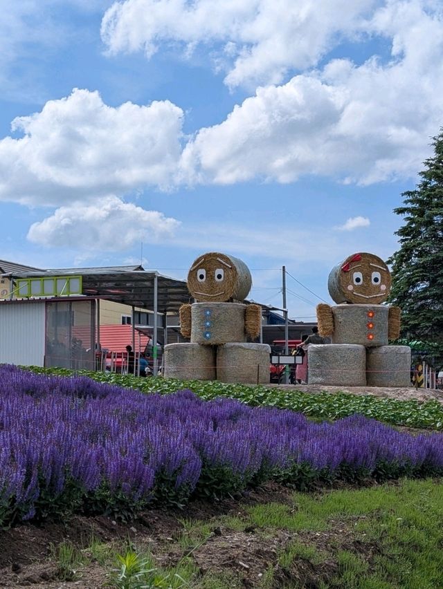 9 Days in Sapporo; Otaru; Lake Toya; Furano; Biei and Back to Sapporo
