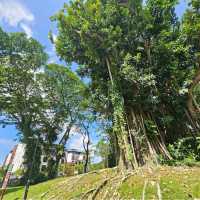 MacRitchie Reservoir & TreeTop Walk