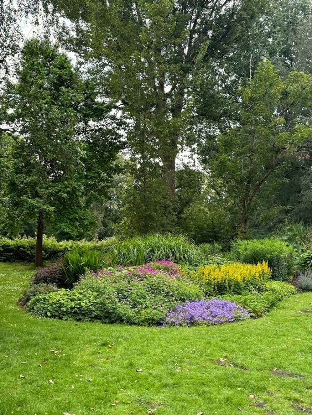 Bute Park