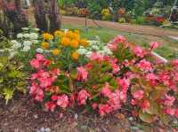 The flower festival at Boramae Park