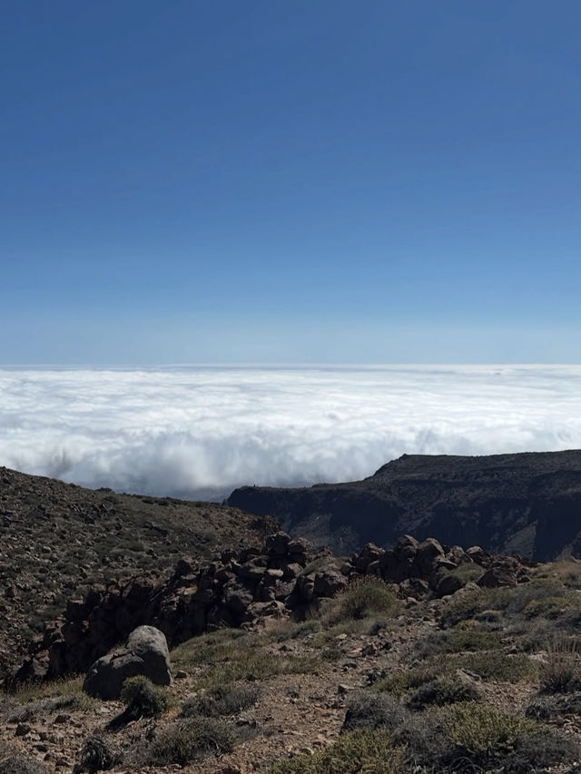 【雲の上の冒険】テイデ国立公園で火山と星空に包まれる絶景旅✨