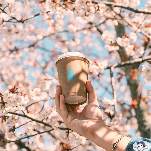 Kyoto Blue Bottle Coffee