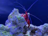 屏東｜觀賞水族展示廳·農業生物科技園區