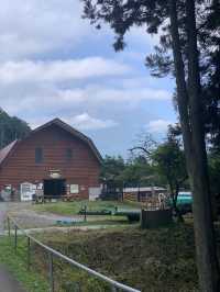 Family on Japan Road, Chubu