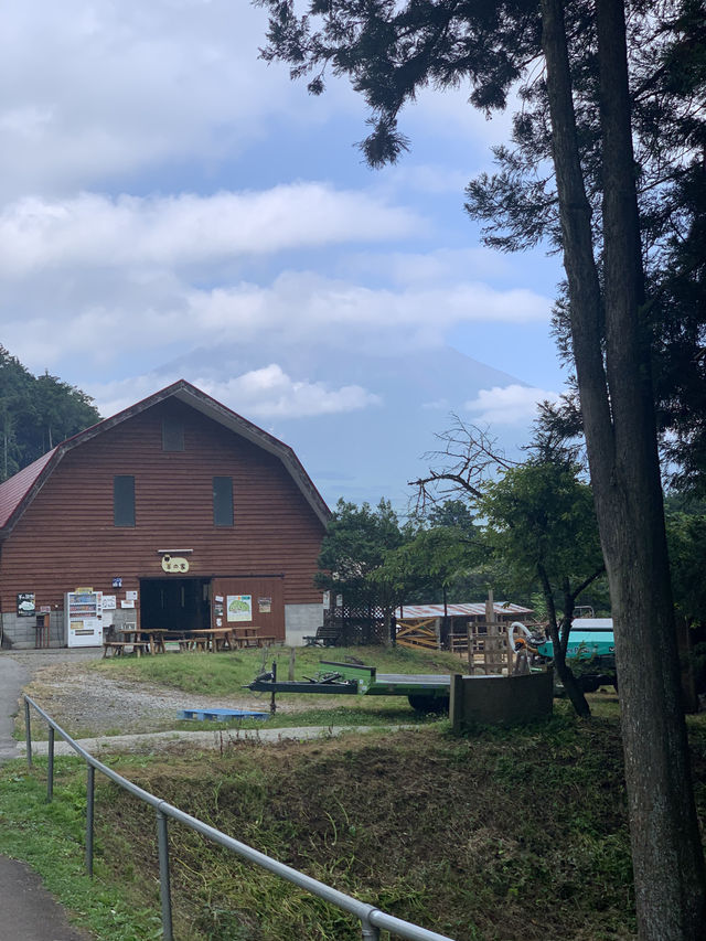 Family on Japan Road, Chubu