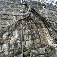💥 Hulishan Fort: Where 19th-Century Cannons Guard Xiamen’s Coastline!