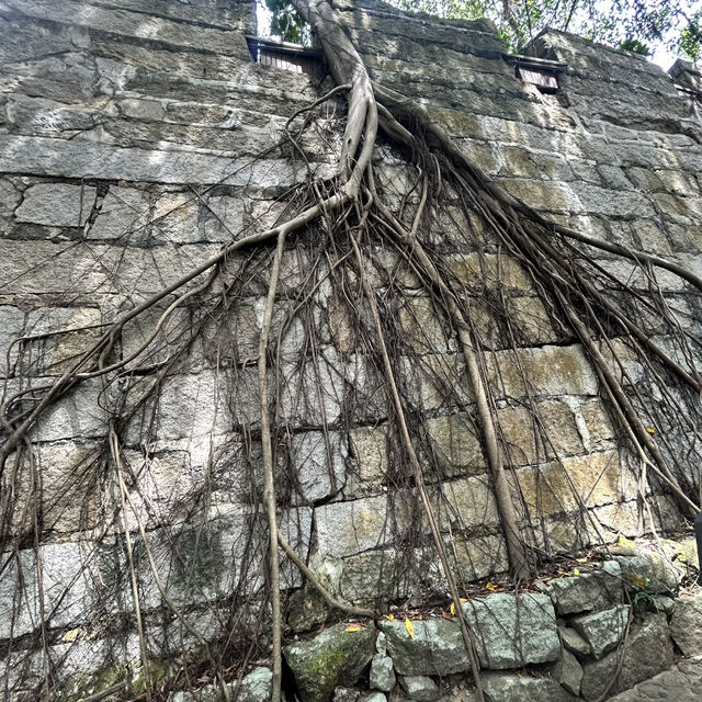 💥 Hulishan Fort: Where 19th-Century Cannons Guard Xiamen’s Coastline!