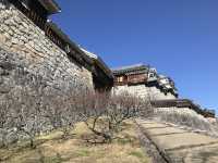 日本現存12天守-松山城