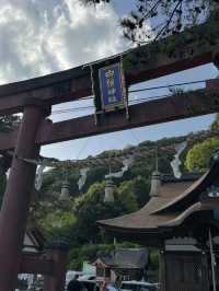 【琵琶湖に浮かぶ鳥居の絶景⛩️】白髭神社で神秘と癒しの旅✨