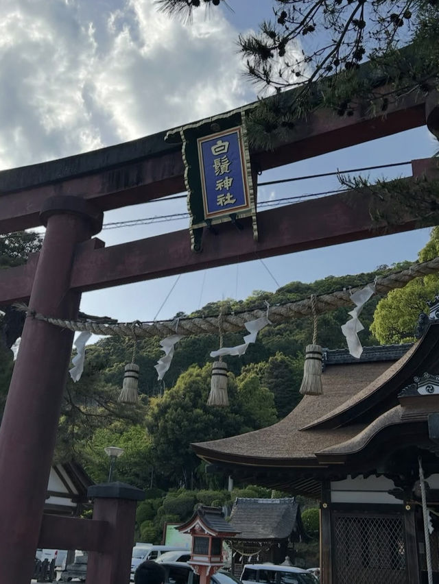 【琵琶湖に浮かぶ鳥居の絶景⛩️】白髭神社で神秘と癒しの旅✨