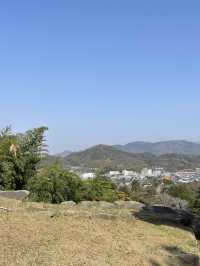 【滋賀/彦根】彦根城