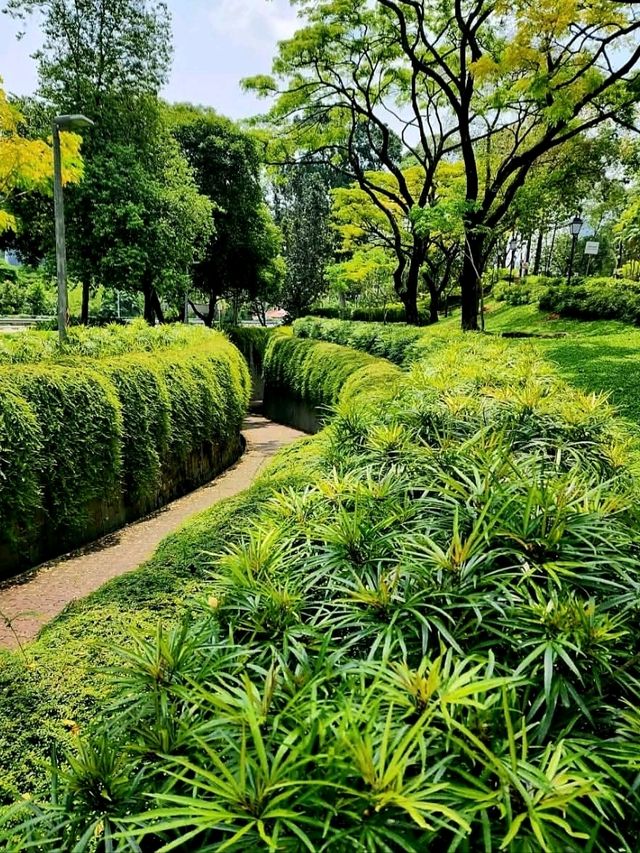 เดินเล่น🚶‍♀️ในสิงคโปร์