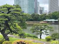 Hamarikyu Gardens