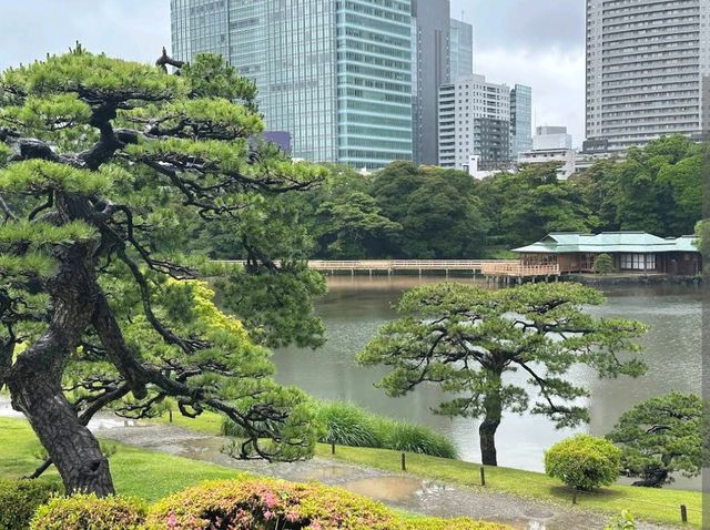 Hamarikyu Gardens