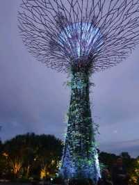 Gardens by the Bay สิงคโปร์