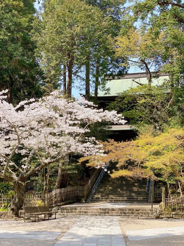 ～貞昌寺～時光靜好～