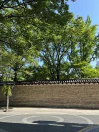 걷기 좋은 광화문 산책코스