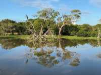 Wild Times at Yala National Park