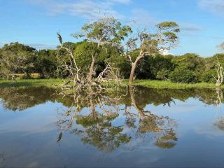 Wild Times at Yala National Park