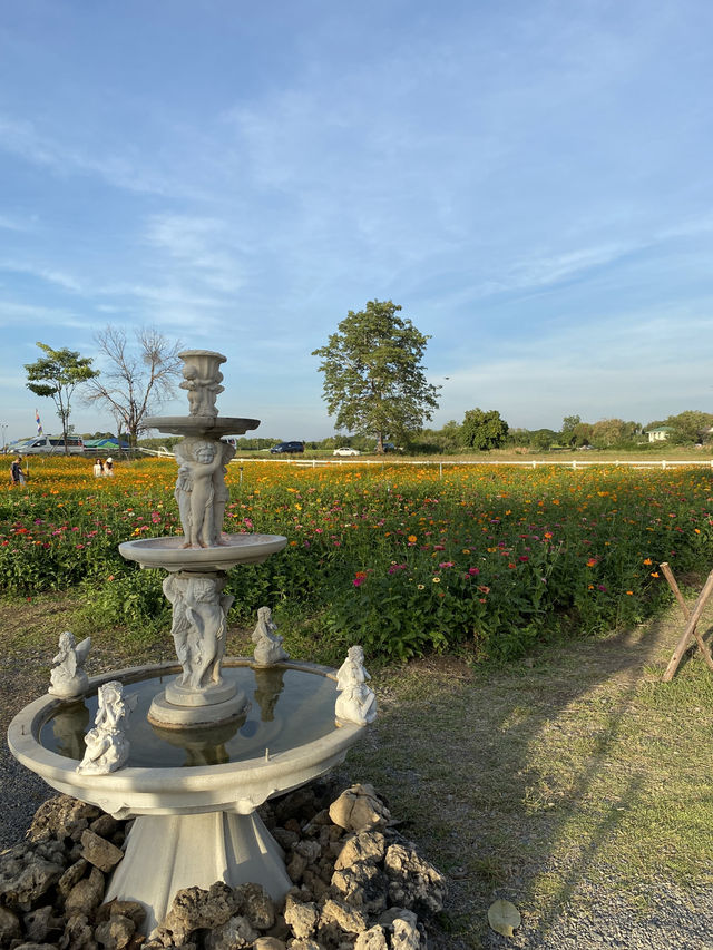 คาเฟ่สวนดอกไม้ 🌸