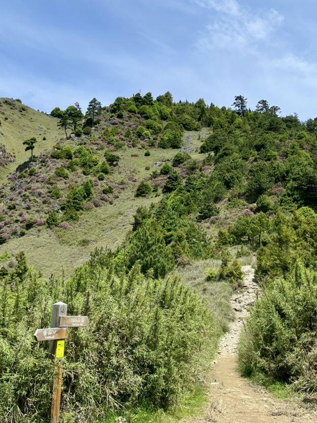 雪山東峰初體驗 ⛰️ 天氣超好的一天！☀️