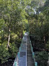 City Mangrove Park – A Perfect Summer Escape into Nature