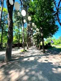 Exploring NamiNara Republic at Nami Island, Korea