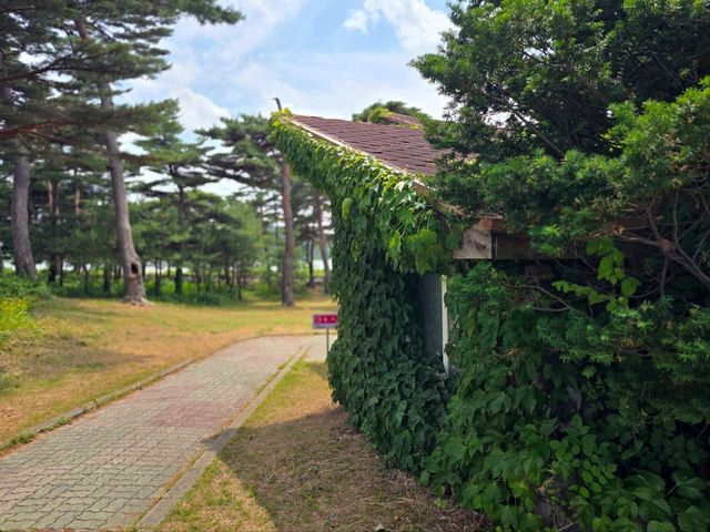 국내여행 우리나라 전 부통령의 과거 고성 별장 이기붕 별장