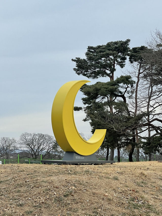 신라 천년의 첨성대를 볼 수 있는 곳