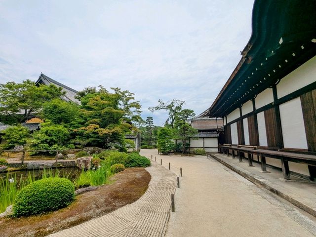 京都 | 方丈庭園，知恩院面向北條的名勝庭園