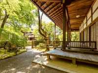 🍁 Solo Serenity: Jōjakkō-ji Temple – Kyoto’s Hidden Mossy Sanctuary