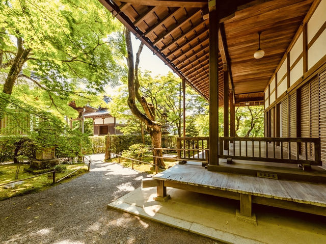 🍁 Solo Serenity: Jōjakkō-ji Temple – Kyoto’s Hidden Mossy Sanctuary