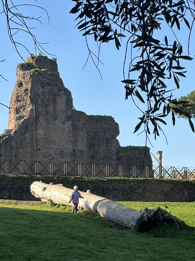 Palatine Hill: Where Emperors Dreamed And Rome Was Born