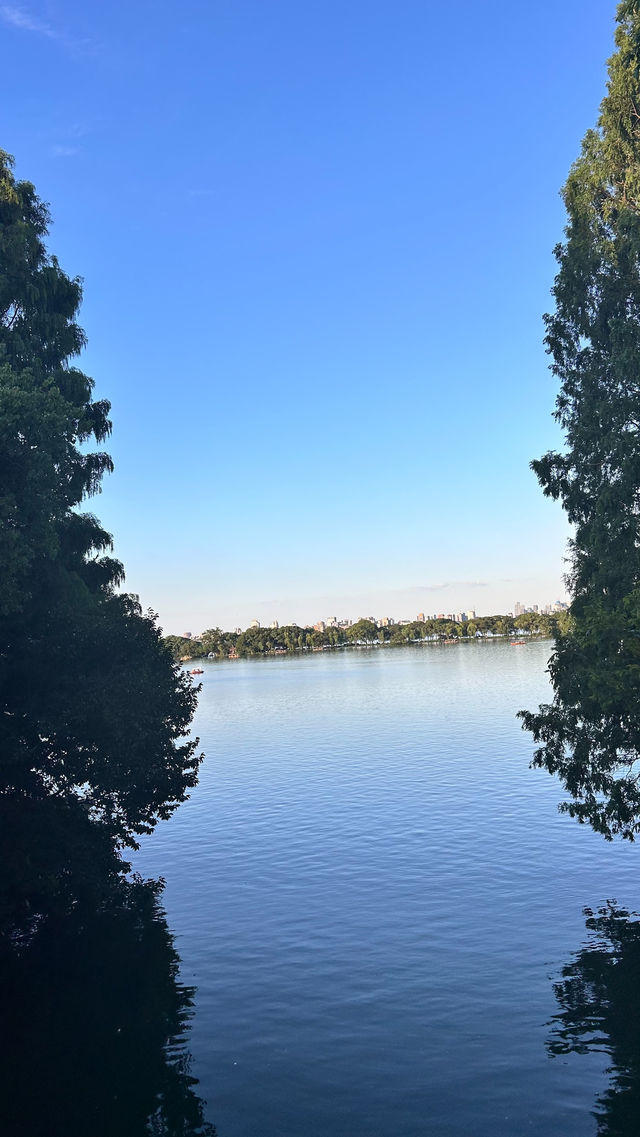 🌿漫遊杭州西湖｜一場與詩意風景的約會，一場心靈出走的行程