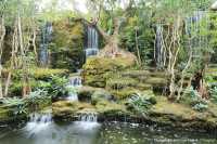 สวนช้างทองเฮอริเทจ สวนไม้โยราณเชียงใหม่
