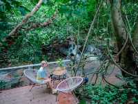 The Hidden Falls ในสวนลับ