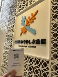 【如夢似幻的藍色奇遇】——走進DMM沖繩水族館，感受海洋的溫柔呼吸